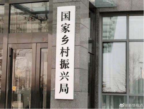 重磅預(yù)告,別錯(cuò)過了 早安,中山