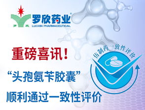 羅欣集團