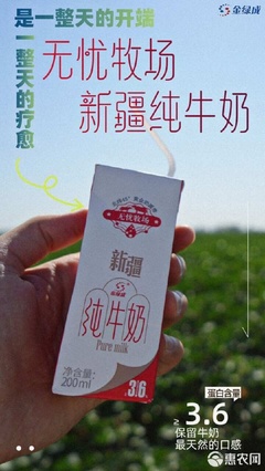 新疆直發~新疆克拉瑪依金綠成全脂純牛奶 從優質奶源到3.6g蛋白的誕生之旅